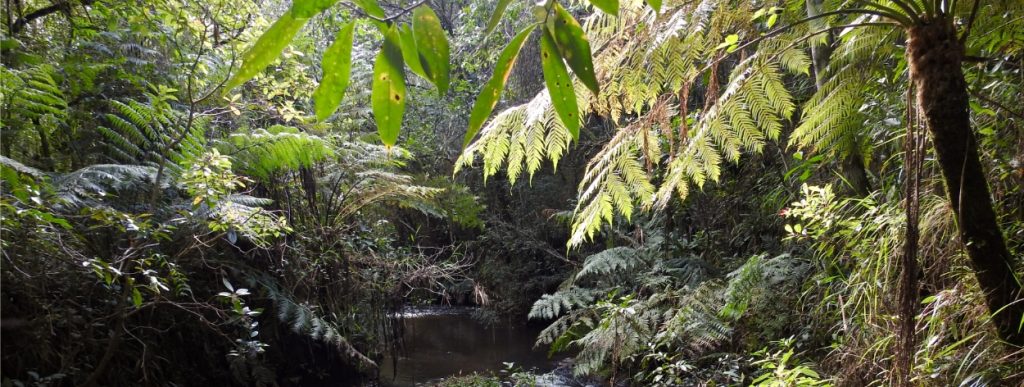 Nossa Natureza